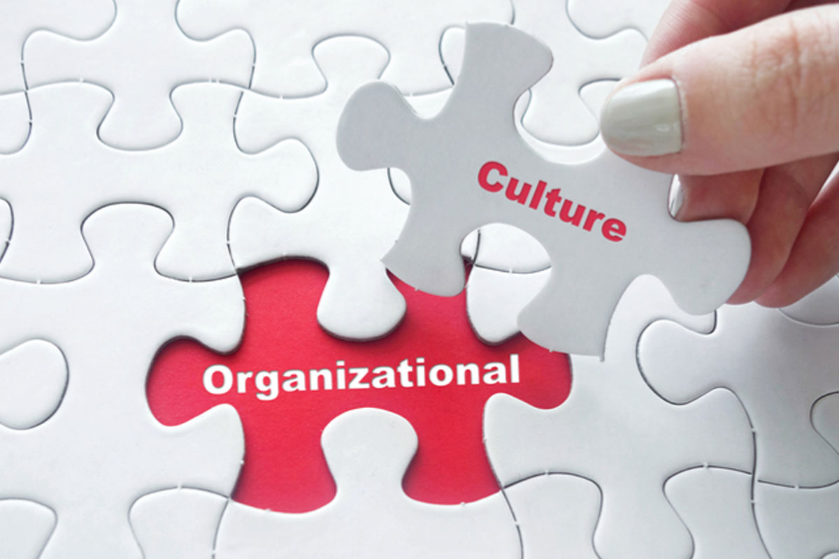 فرهنگ سازمانی چیست؟